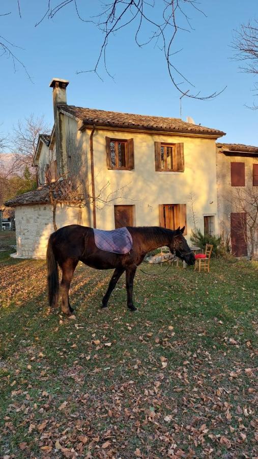 Ferienhaus La Caneveta Al Piave