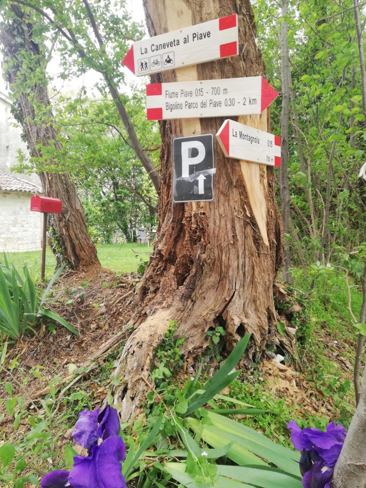 Ferienhaus La Caneveta Al Piave